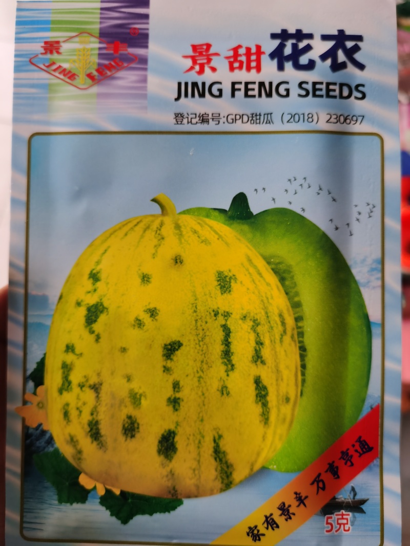 景甜5号花衣丽花5号景甜210甜瓜种子