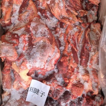 国产部位肉牛腱子