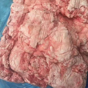 牛揣油