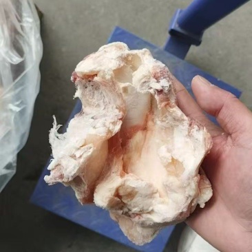 牛窝骨
