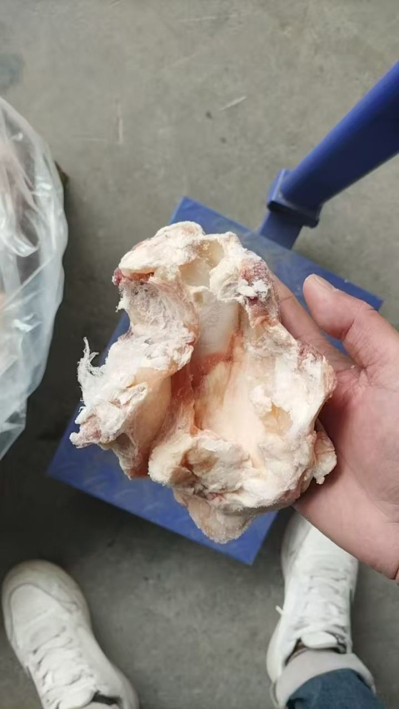 牛窝骨