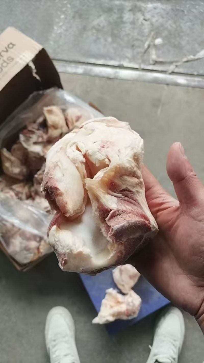 牛窝骨