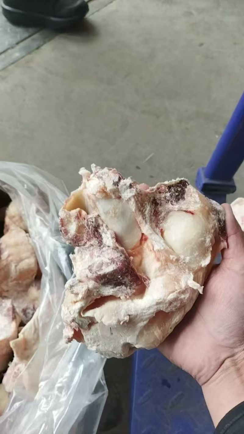 牛窝骨