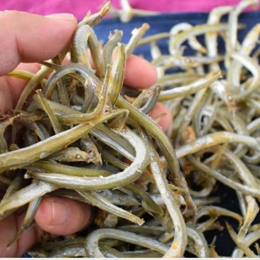 小青鱼面条鱼干500g纯淡干面条鱼干银鱼干货