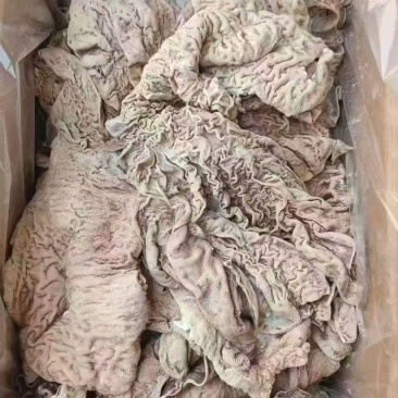 牛散带