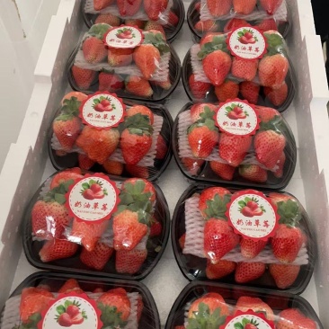 徐州宁玉草莓，支持视频看货，对接商超批发市场