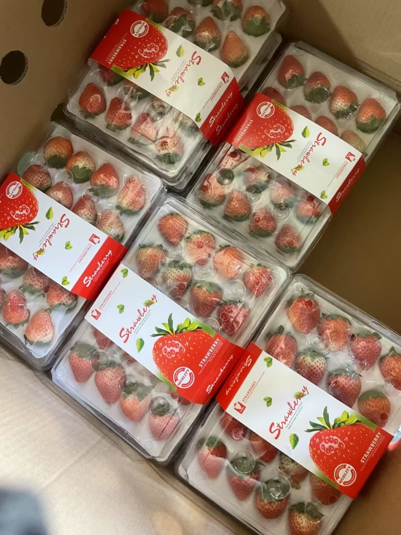 徐州宁玉草莓，支持视频看货，对接商超批发市场