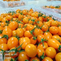 黄圣女果精品好果支持全网一件代发欢迎新老顾客进店抢购