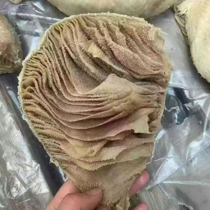 牛百叶