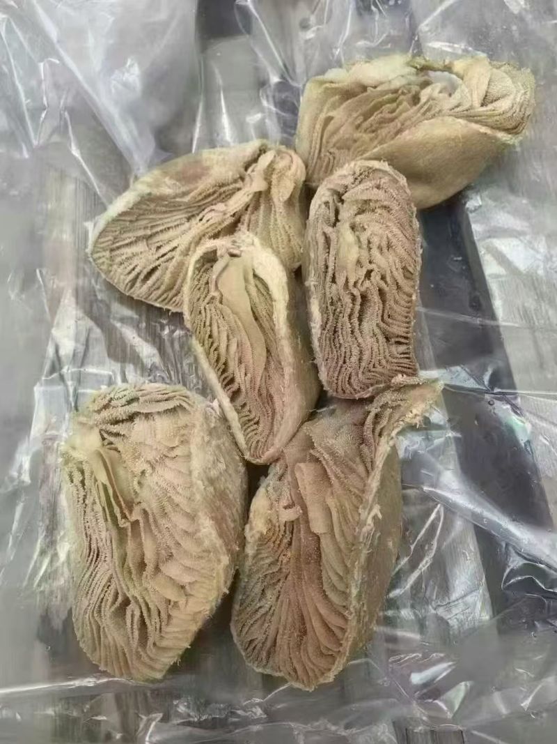 牛百叶