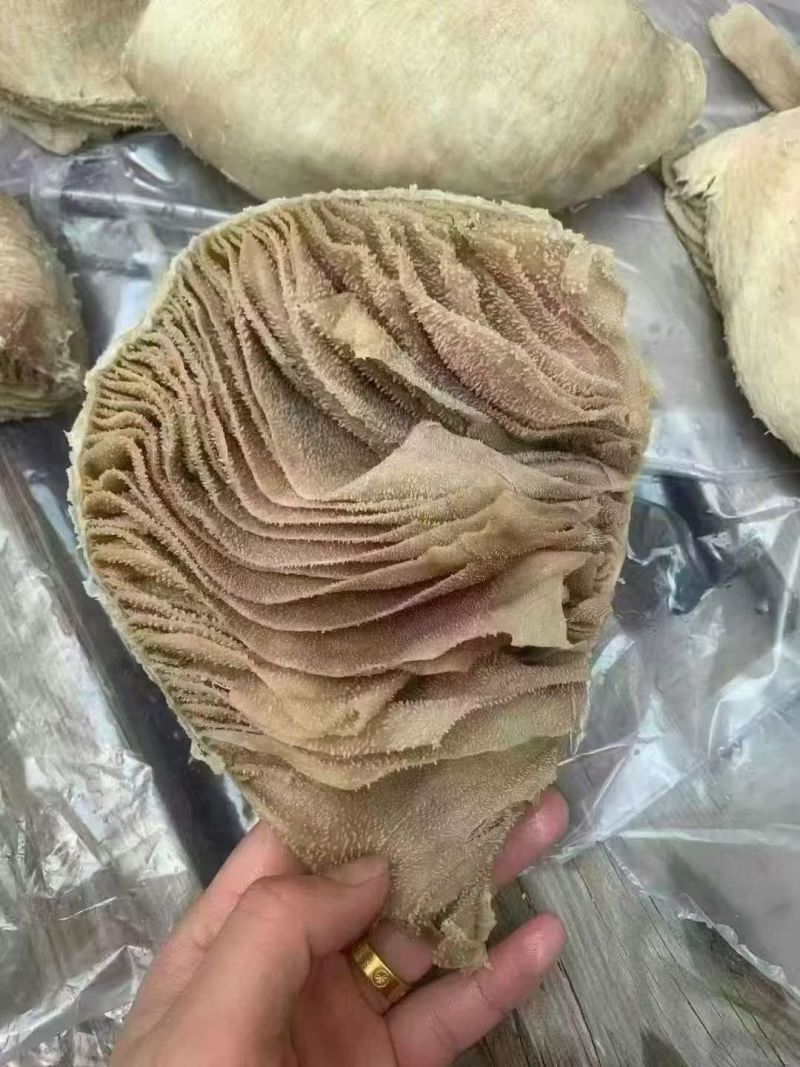 牛百叶