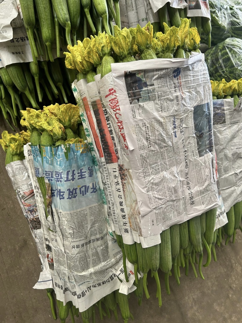 《江苏丝瓜》海门丝瓜/精品鲜花丝瓜/对接全网日供应1万斤