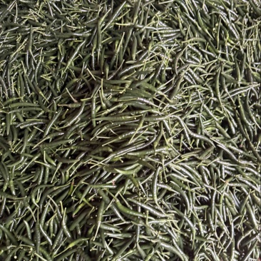 精品青小米辣/大量有货/一手货源/全国发货。