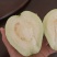 【番石榴】广东番石榴精品番石榴货源充足保质保量