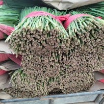 韭菜大量上市货源充足