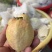 胭脂红芭乐，芭乐中的爱马仕，喜欢的来来来