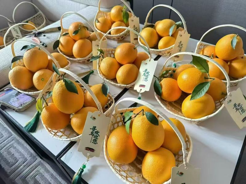备年货鲜果迎咨询