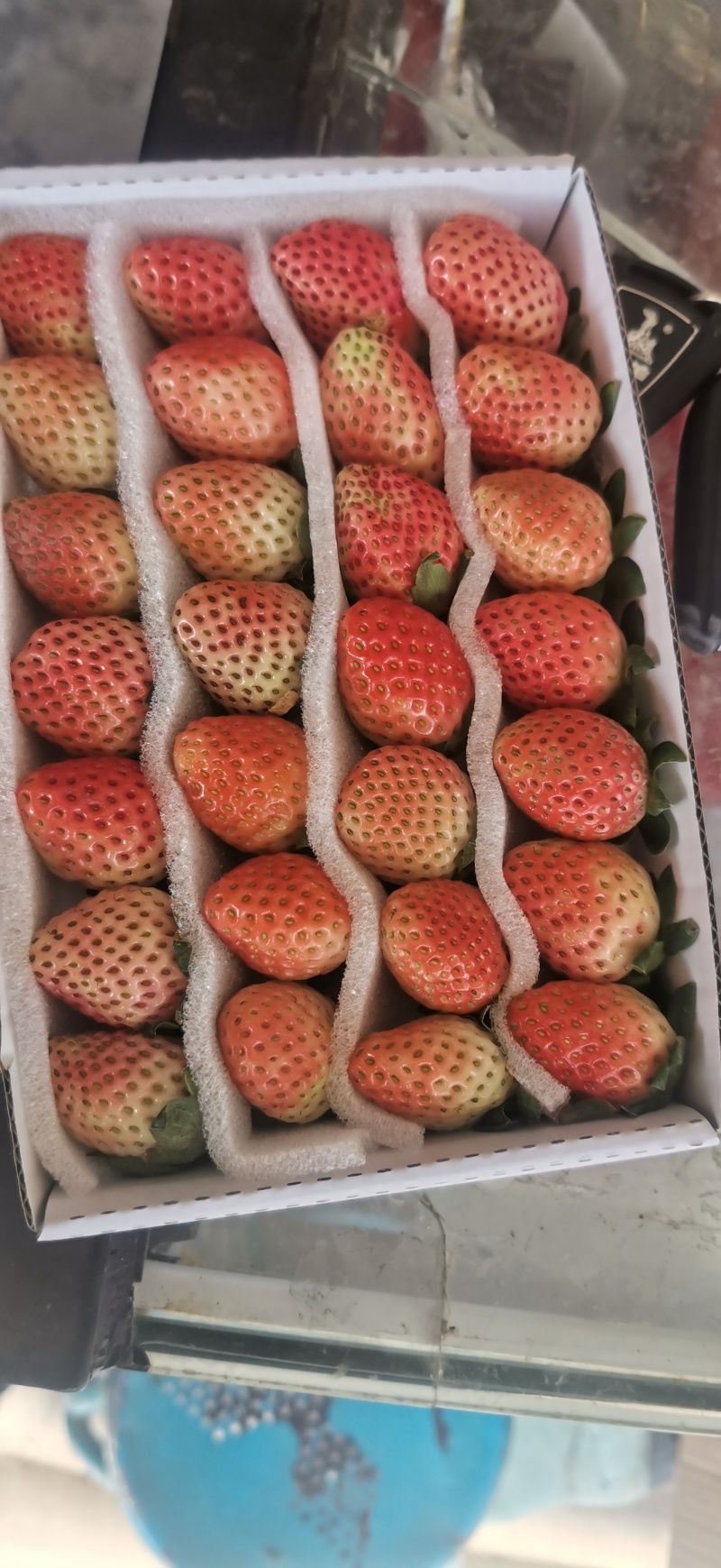 草莓大凉山露天冬草莓支持烘焙糖葫芦市场电商一件代发