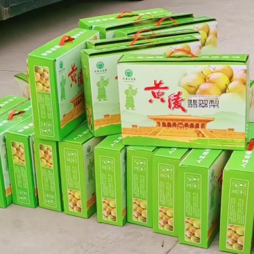 黄陵县翡翠梨，可一件代发，保证质量