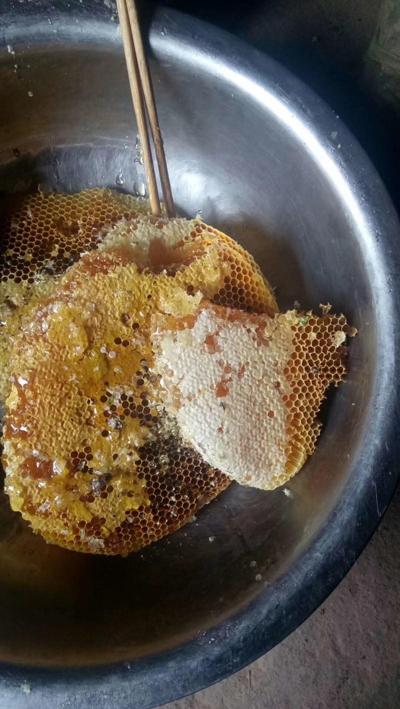 中蜂，土蜂蜜，顺自然蜂蜜，一年只取蜜两次，一件包邮。
