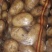 土豆，土豆食堂货，精品高次土豆，黄皮黄瓤土豆