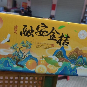 融安脆蜜金桔