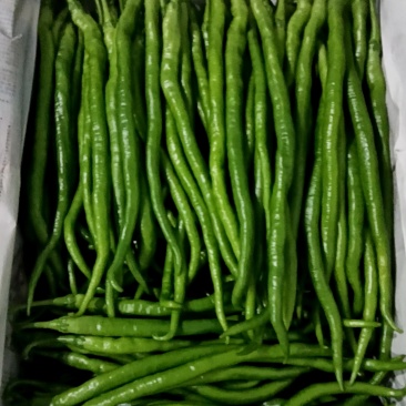 8号大量上市