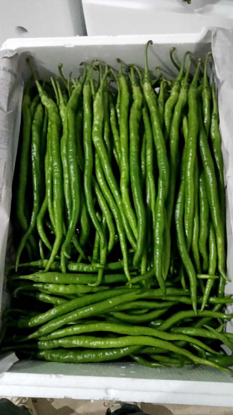 8号大量上市