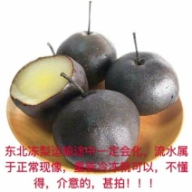 东北特产冻秋梨冻苹果梨黑冻梨冻水果无渣甜口包邮大黑梨甘甜