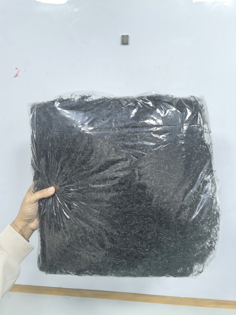 烘干马尾藻鞭炮笋长寿菜