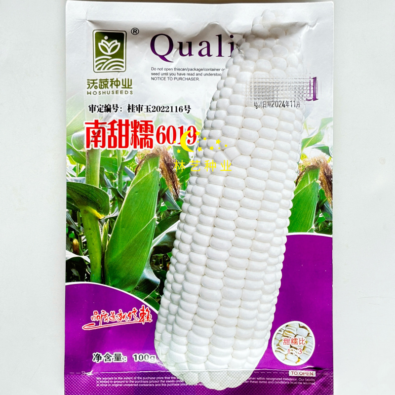 南甜糯6019甜糯玉米大棒口感好耐热性好甜糯玉米种子