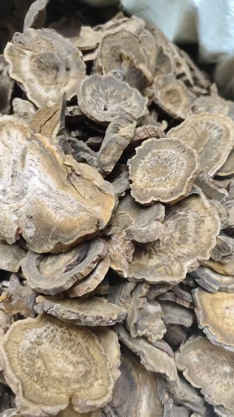 中药材大黄，马蹄黄，山西大黄水根大黄甘肃大黄，各种规格实