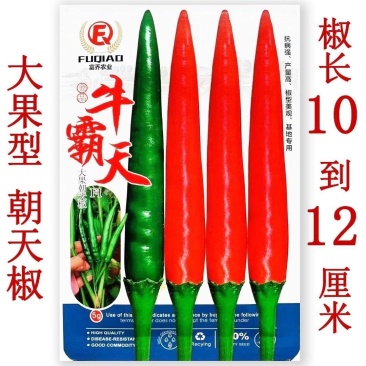 牛霸天大果朝天椒种子辣味浓高产硬果型朝天椒种籽大田基地种