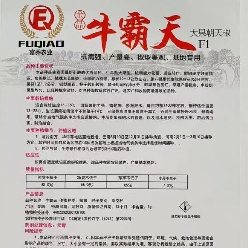 牛霸天大果朝天椒种子辣味浓高产硬果型朝天椒种籽大田基地种