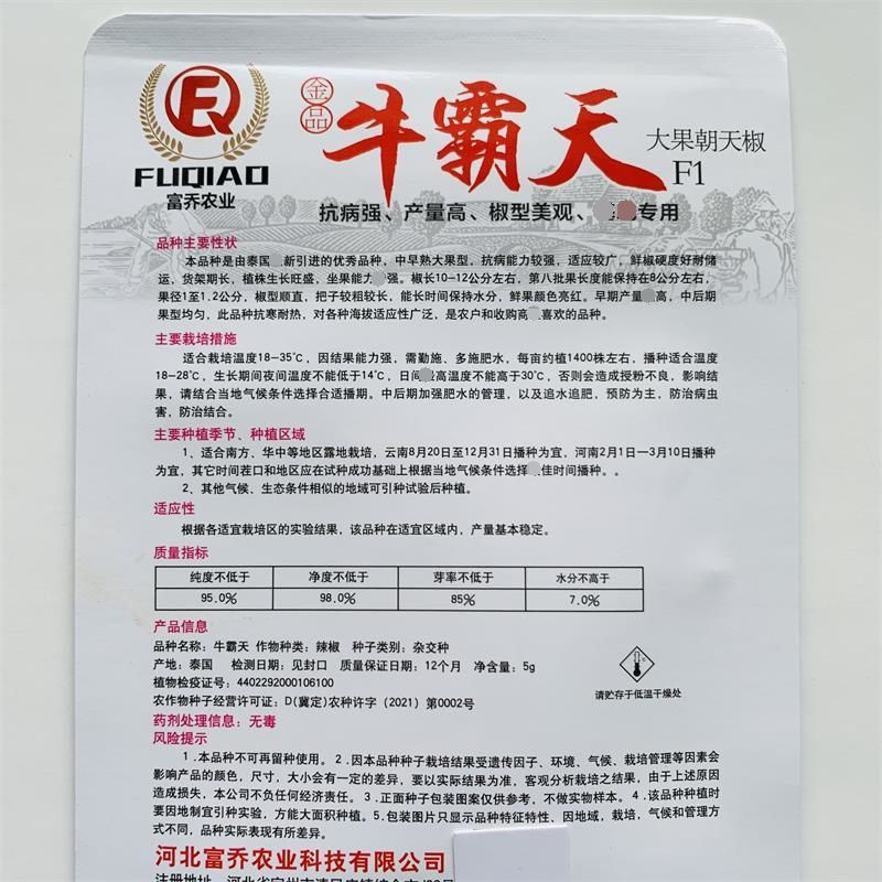 牛霸天大果朝天椒种子辣味浓高产硬果型朝天椒种籽大田基地种