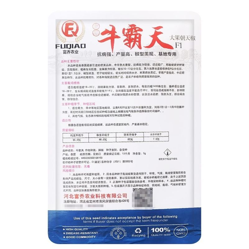 牛霸天大果朝天椒种子辣味浓高产硬果型朝天椒种籽大田基地种