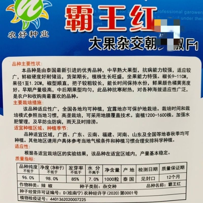 霸王红大果朝天椒种子抗热耐寒硬度好高产朝天椒种子籽基地播