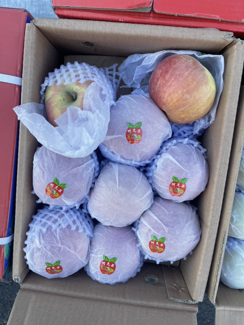 正宗阿克苏假一赔十