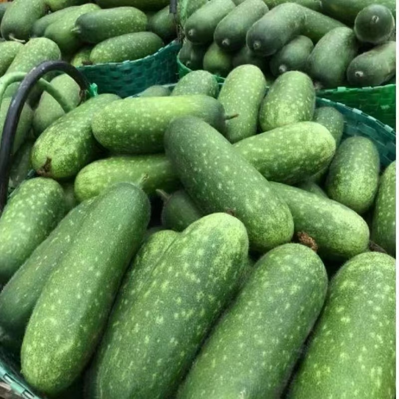 毛节瓜，诚信经营，货源充足，现摘现发，全国可发货
