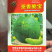 荃香脆宝甜瓜种子绿宝石早熟绿皮绿肉香瓜种子酥脆香甜耐