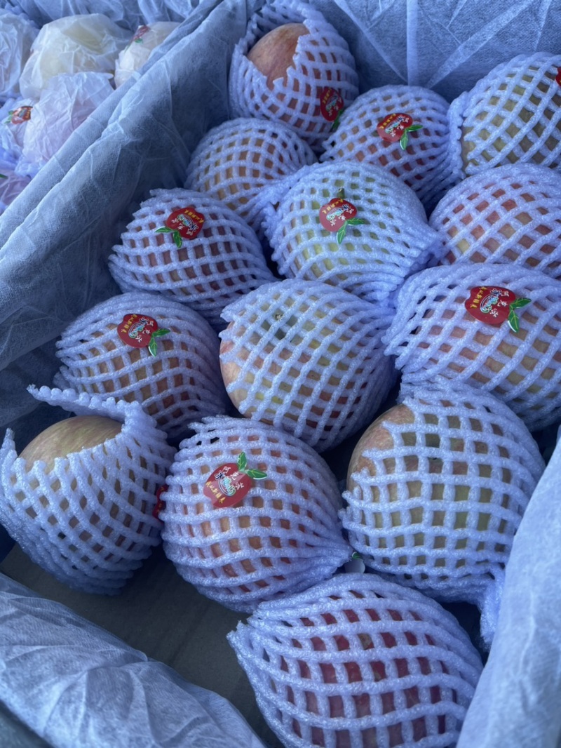 阿克苏苹果假一赔十