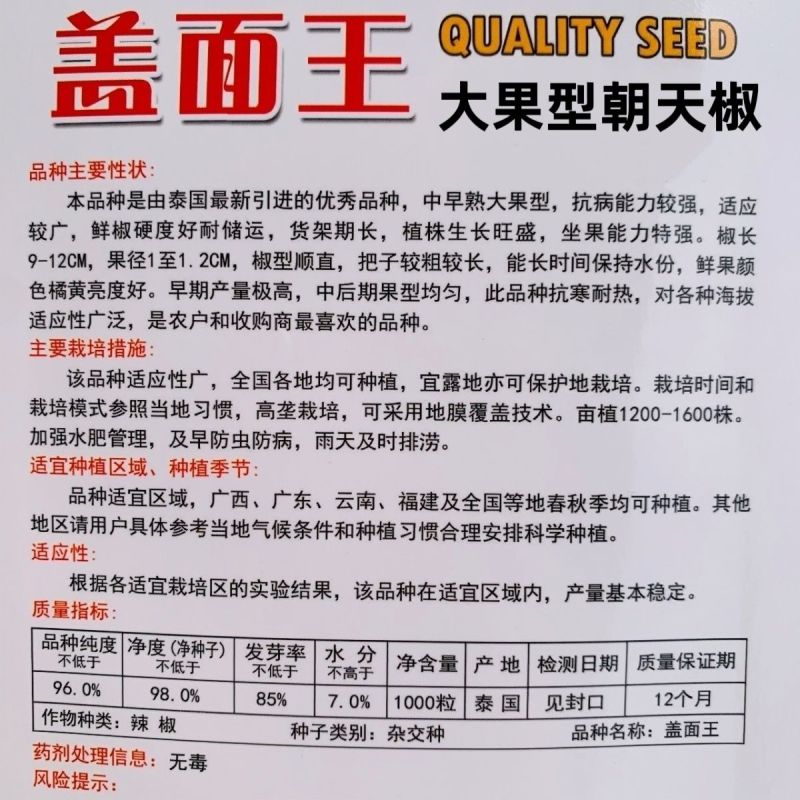 盖面王大果朝天椒种子硬度好耐寒耐热高产朝天椒种籽中早熟
