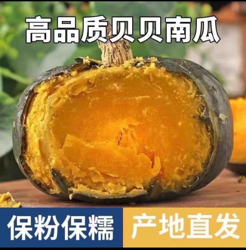 正宗贝贝南瓜板栗味小南瓜新鲜现摘3/5斤孕妇宝宝辅食正品