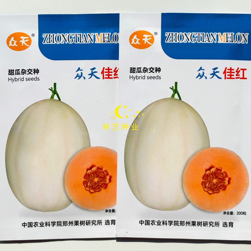 众天佳红甜瓜种子中熟厚皮香甜瓜高产抗病香甜爽脆优质杂交甜