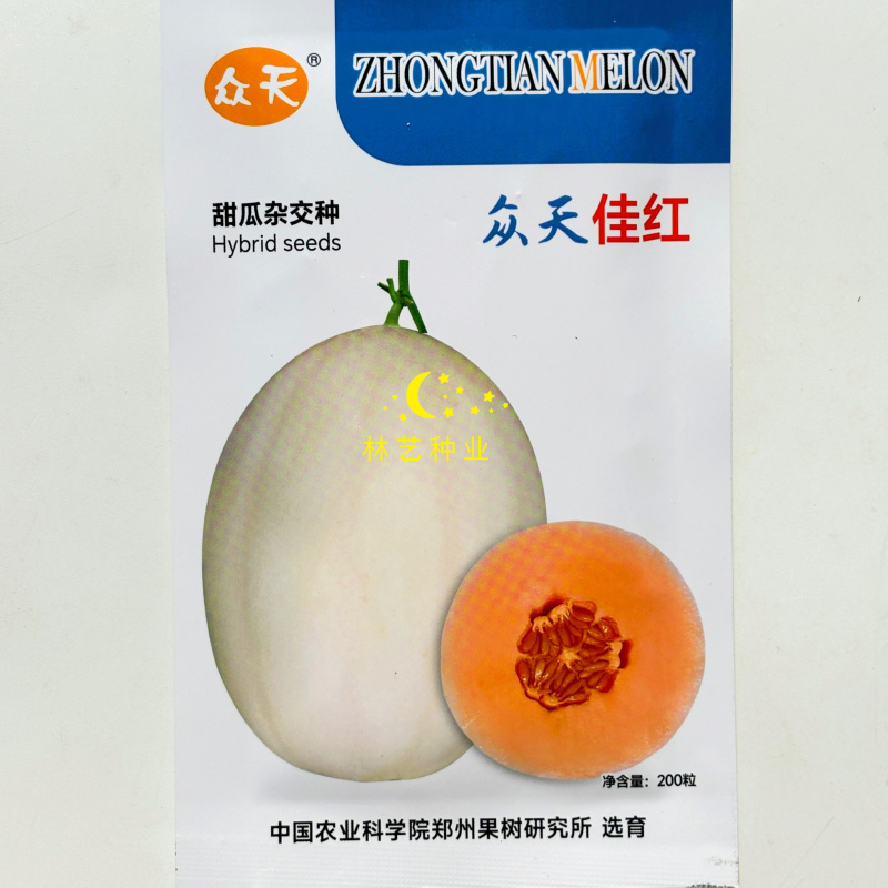 众天佳红甜瓜种子中熟厚皮香甜瓜高产抗病香甜爽脆优质杂交甜
