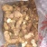 黄精老虎姜量大从优