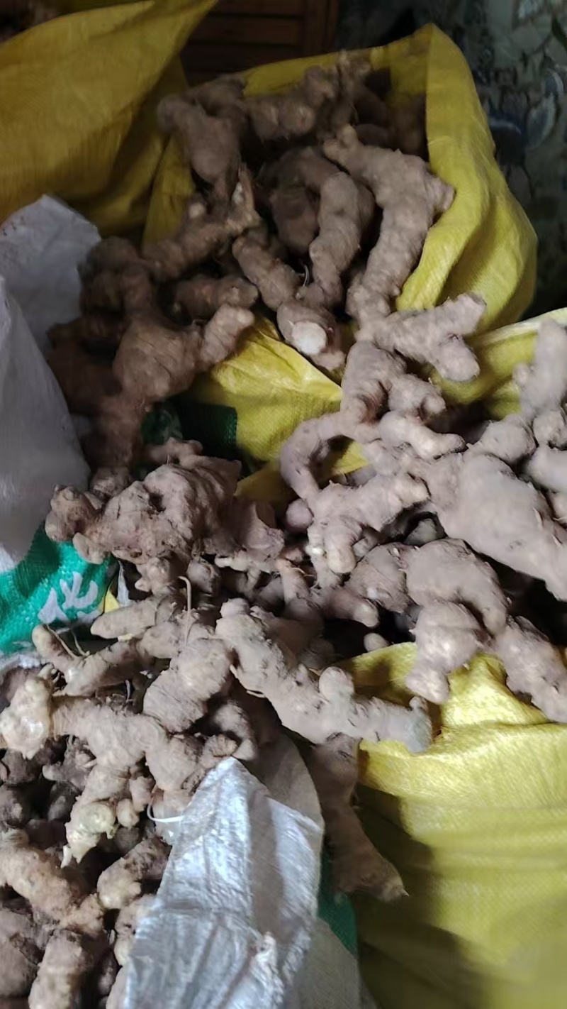 黄精老虎姜量大从优