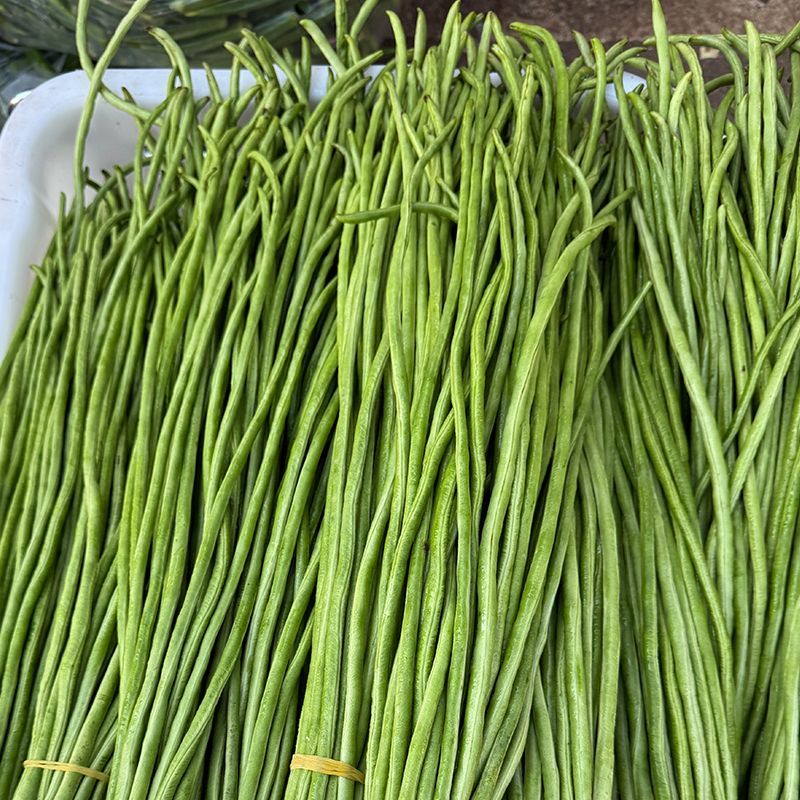 信研夏绿e秀豆角种子高产青绿色豆角不鼓籽无鼠尾耐热豇豆