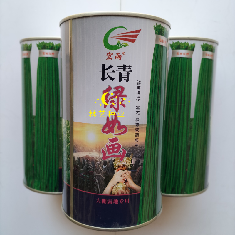 长青绿如画豇豆种子翠绿条长豆角种籽春秋早熟高产耐热抗病