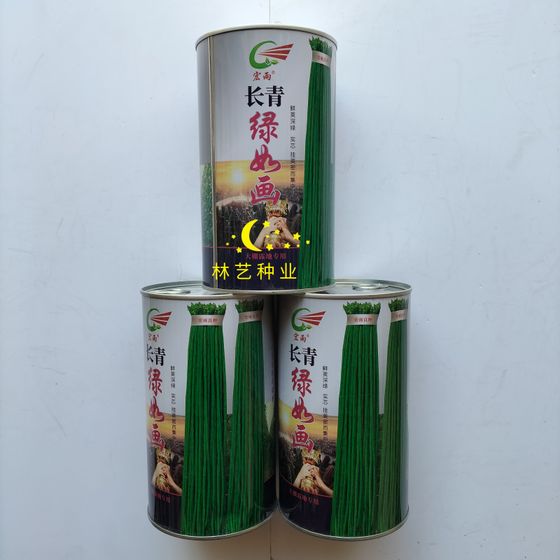 长青绿如画豇豆种子翠绿条长豆角种籽春秋早熟高产耐热抗病